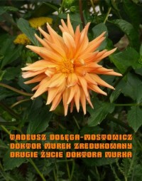 Doktor Murek zredukowany. Drugie - okłakda ebooka