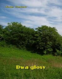 Dwa głosy - okłakda ebooka