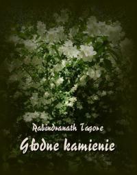 Głodne kamienie - okłakda ebooka