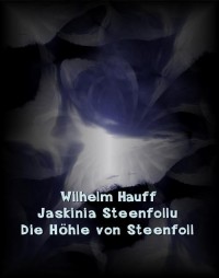 Jaskinia Steenfollu. Die Höhle - okłakda ebooka