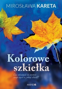 Kolorowe szkiełka - okłakda ebooka