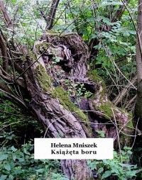 Książęta boru - okłakda ebooka