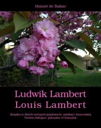 Ludwik Lambert. Louis Lambert - okłakda ebooka