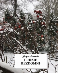 Ludzie bezdomni - okłakda ebooka