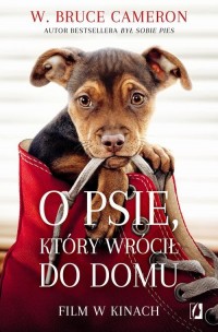 O psie, który wrócił do domu - okłakda ebooka