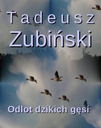 Odlot dzikich gęsi - okłakda ebooka
