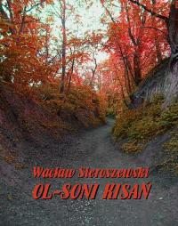 Ol-soni kisań - okłakda ebooka