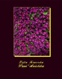 Pani Anielska - okłakda ebooka