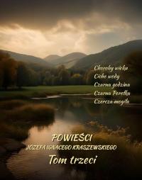 Powieści Józefa Ignacego Kraszewskiego. - okłakda ebooka