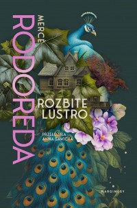 Rozbite lustro - okłakda ebooka