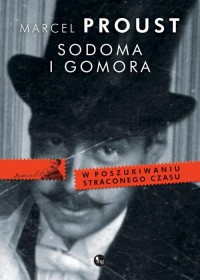 Sodoma i Gomora. W poszukiwaniu - okłakda ebooka