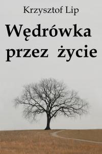 Wędrówka przez życie - okłakda ebooka