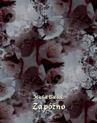 Za późno. Nowela - okłakda ebooka
