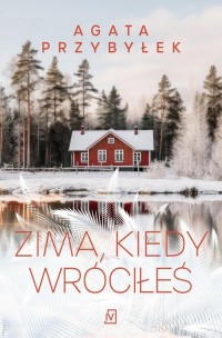 Zima, kiedy wróciłeś - okłakda ebooka