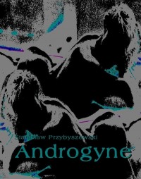 Androgyne - okłakda ebooka