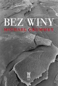 Bez winy - okłakda ebooka