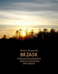 Brzask - okłakda ebooka