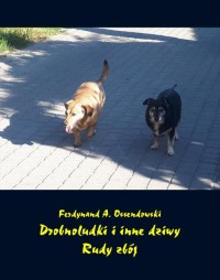 Drobnoludki i inne dziwy. Rudy - okłakda ebooka