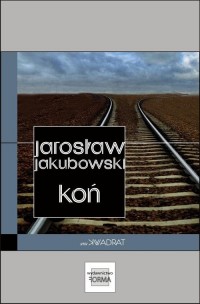 Koń - okłakda ebooka
