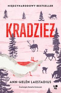 Kradzież - okłakda ebooka