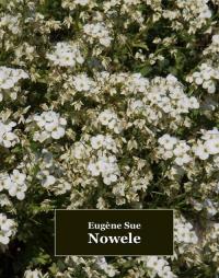 Nowele - okłakda ebooka