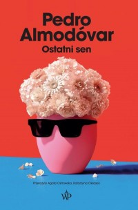Ostatni sen - okłakda ebooka