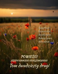 Powieści Józefa Ignacego Kraszewskiego. - okłakda ebooka