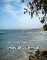 Sosenka z wydm - okłakda ebooka