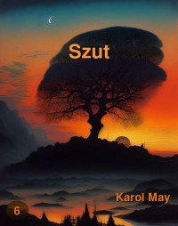 Szut - okłakda ebooka