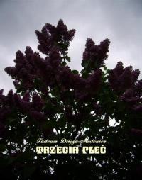 Trzecia płeć - okłakda ebooka