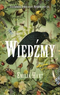 Wiedźmy - okłakda ebooka