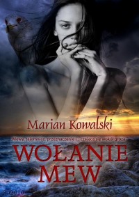 Wołanie mew - okłakda ebooka