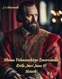 Adama Polanowskiego Dworzanina - okłakda ebooka