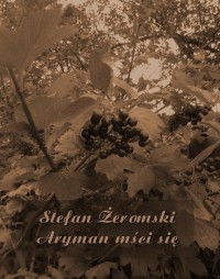 Aryman mści się - okłakda ebooka