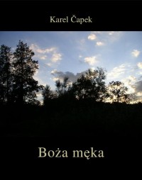 Boża męka - okłakda ebooka