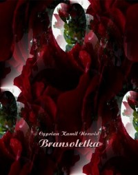 Bransoletka. Legenda dziewiętnastego - okłakda ebooka