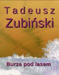 Burza pod lasem - okłakda ebooka
