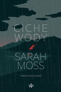 Ciche wody - okłakda ebooka
