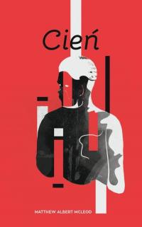 Cień - okłakda ebooka