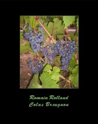 Colas Breugnon - okłakda ebooka