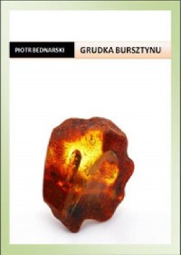 Grudka bursztynu - okłakda ebooka