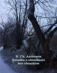 Książka z obrazkami bez obrazków - okłakda ebooka