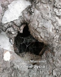 Na dnie życia - okłakda ebooka
