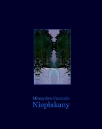 Niepłakany - okłakda ebooka
