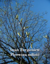 Pierwsza miłość - okłakda ebooka
