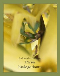Pieśń białego domu - okłakda ebooka