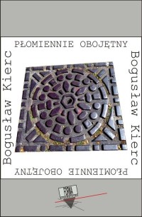 Płomiennie obojętny. (o chłopcu, - okłakda ebooka