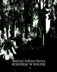 Schodząc w dolinę - okłakda ebooka