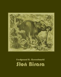 Słoń Birara - okłakda ebooka
