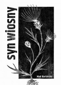 Syn wiosny - okłakda ebooka